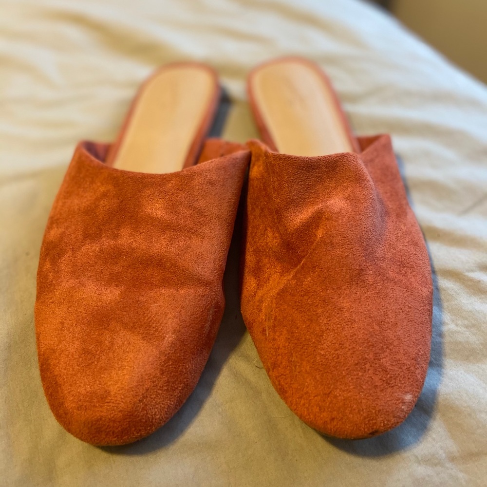 Coral mules